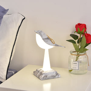 Spark | BirdLamp